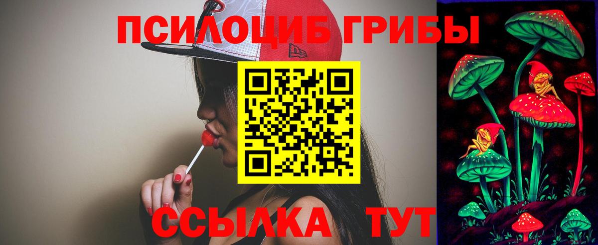 Галлюциногенные грибы мухоморы  Вход с VPN  Камышин 