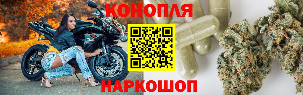 Каннабис Bruce Banner Камышин